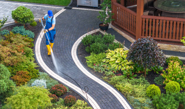Best Best Pressure Washing Companies  in Laguna Beach, CA
